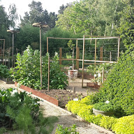 Potager garden