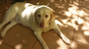 Maddie waiting for lunch