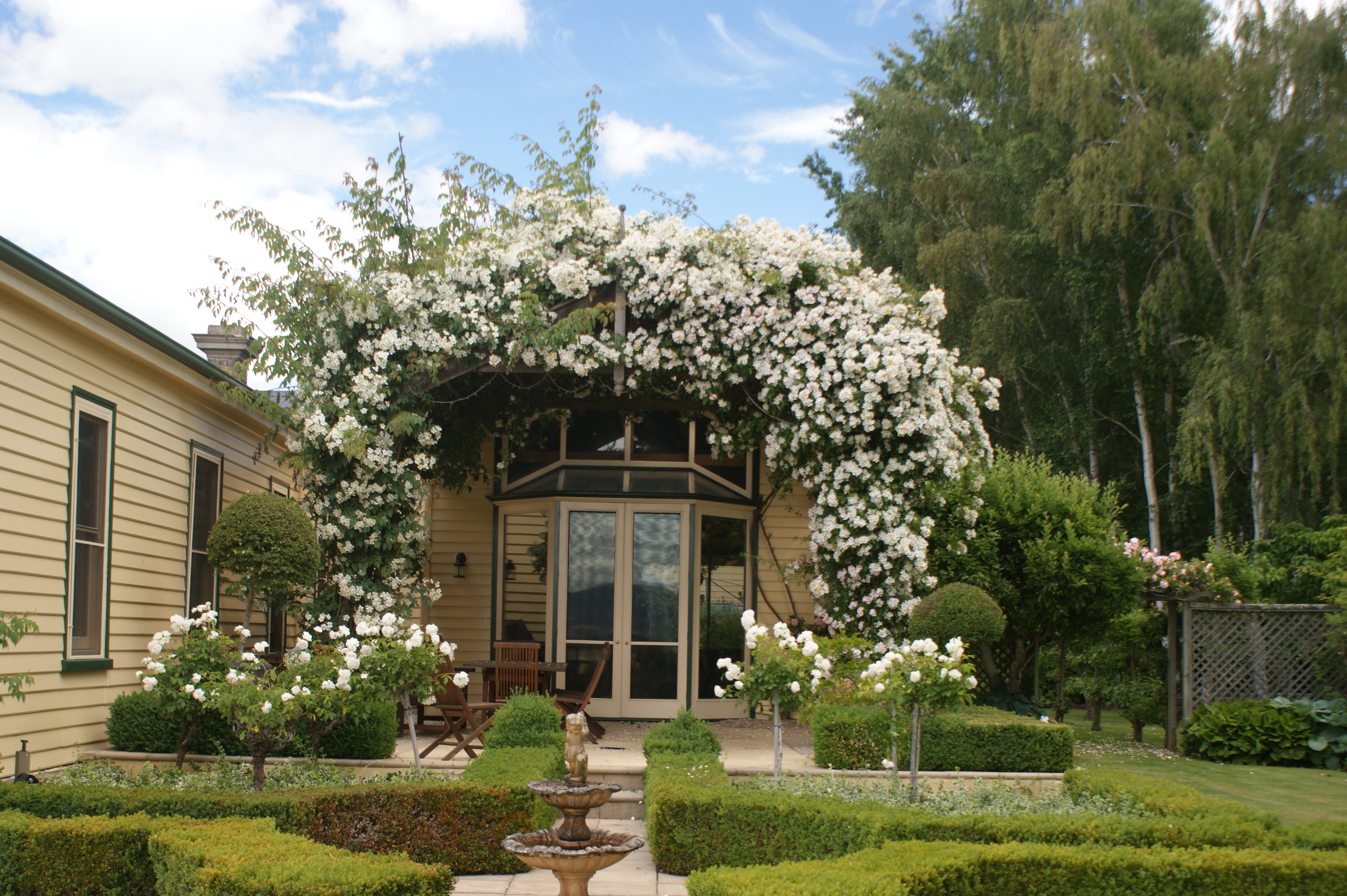 Ericvale Roses - Welcome to our Tasmanian Rose Garden