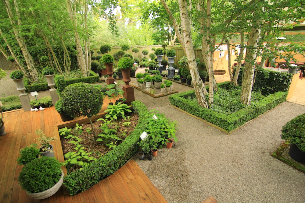 topiary_display_area